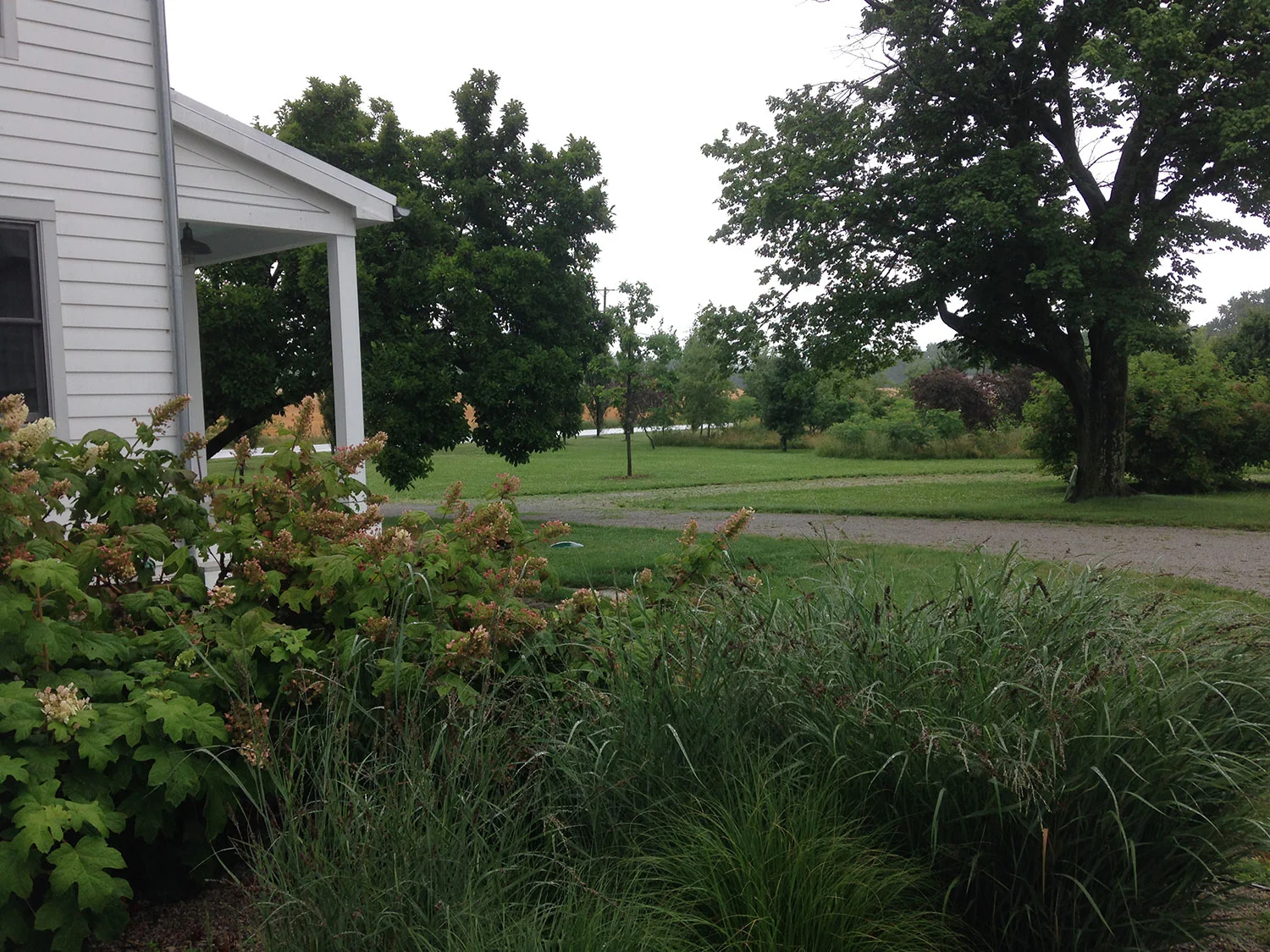 garden_01.jpg