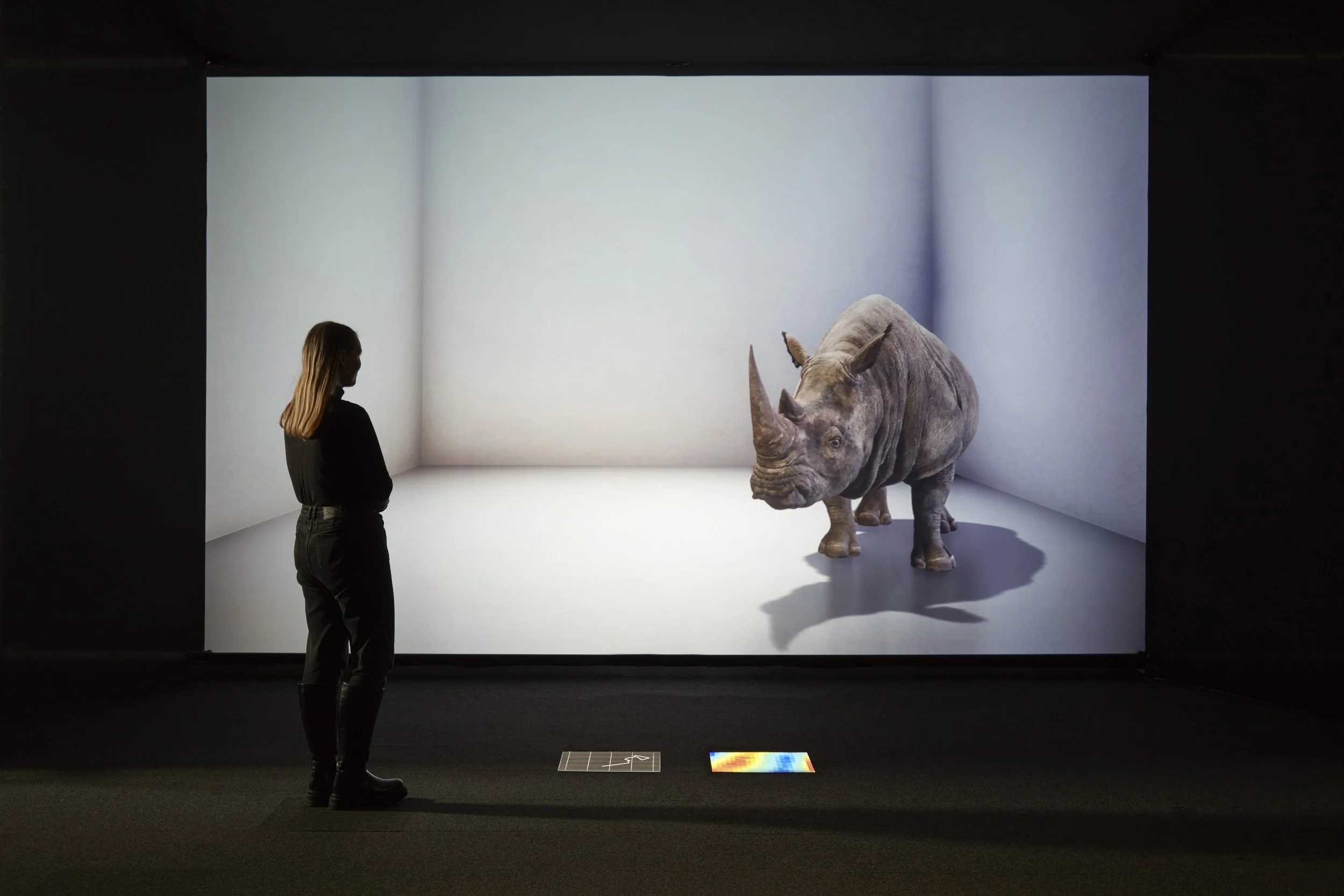 A figure stands in front of a screen (around 3m high) which shows a computer generated image of a rhinoceros standing in a plain white room