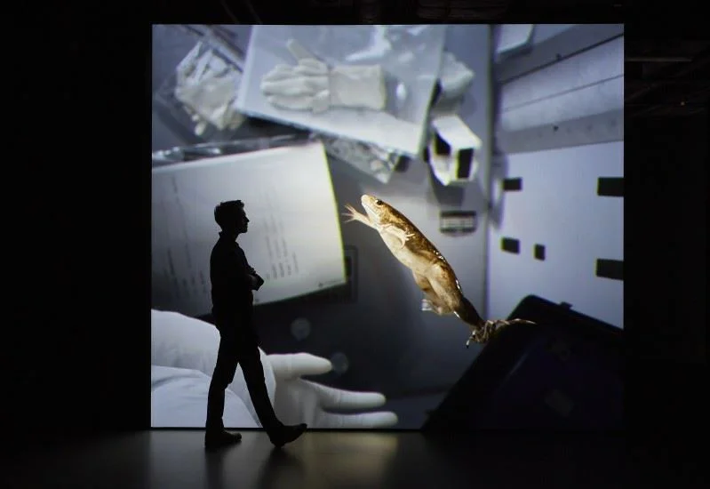 A male visitor stands in silhouette in front of a large screen. The screen shows a frog suspended in space and what looks like a gloved human hand beneath it.