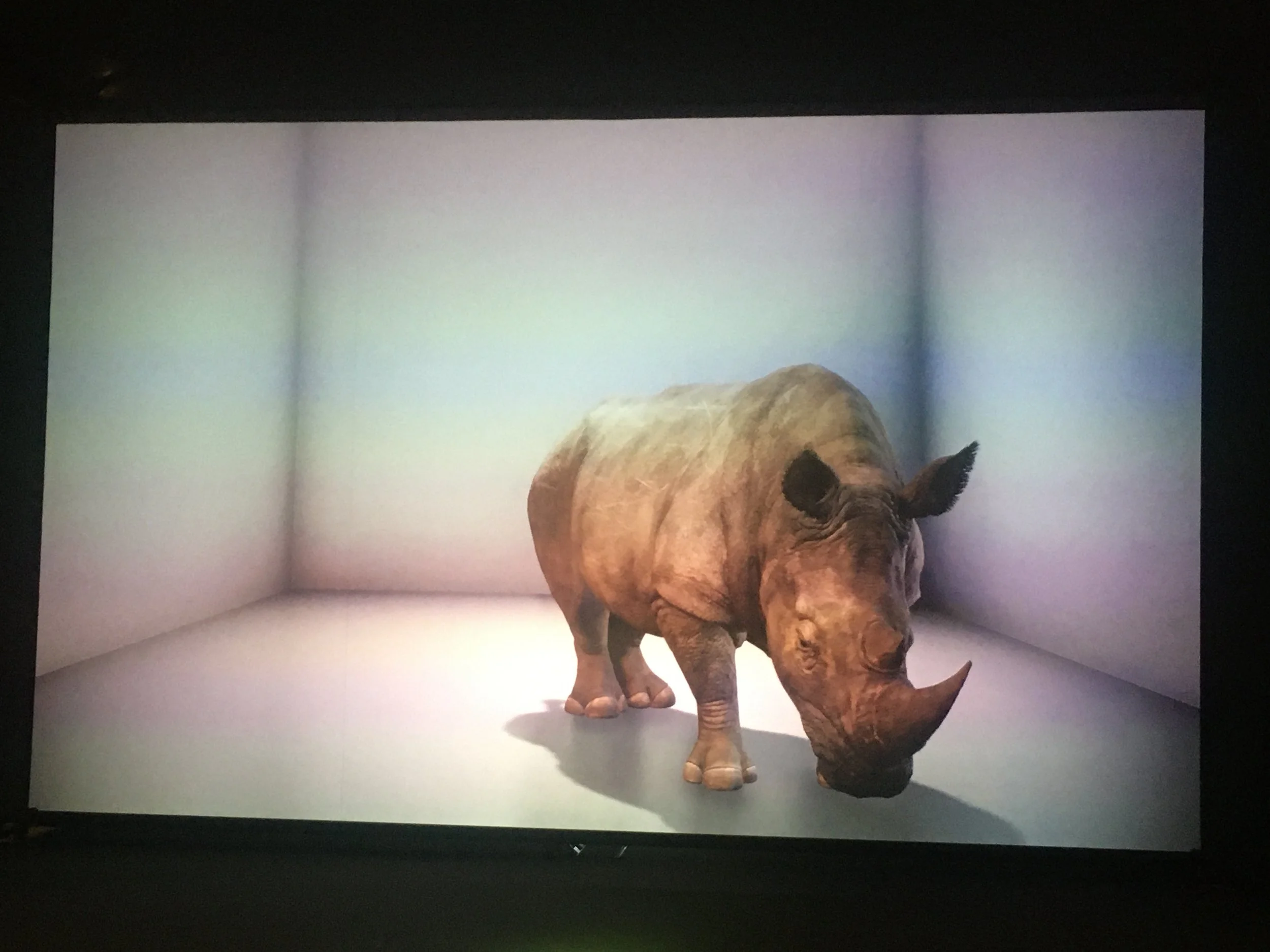 A computer generated image of a rhinoceros standing in a plain grey space, facing the camera