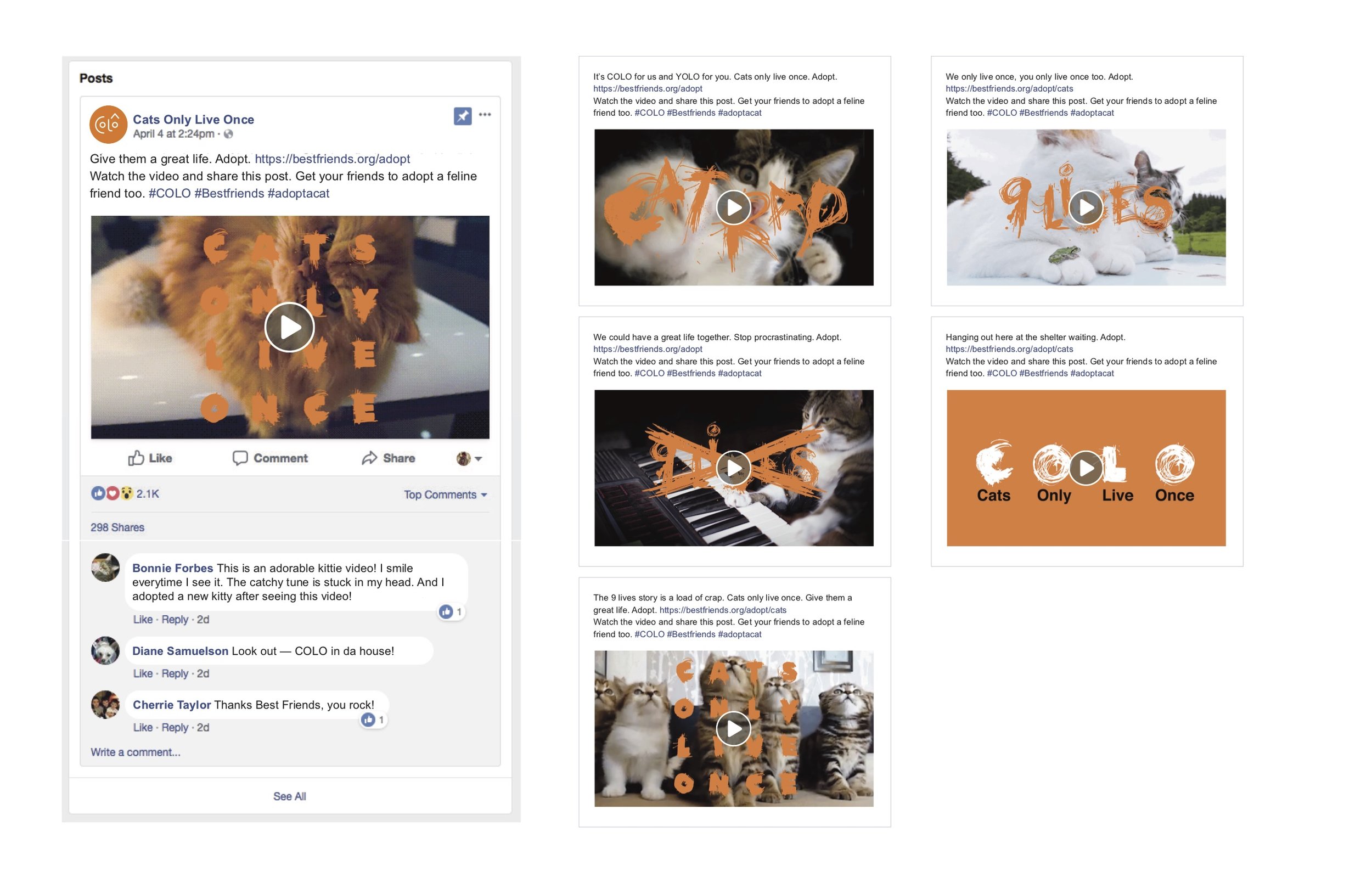 Facebook and instagram posts