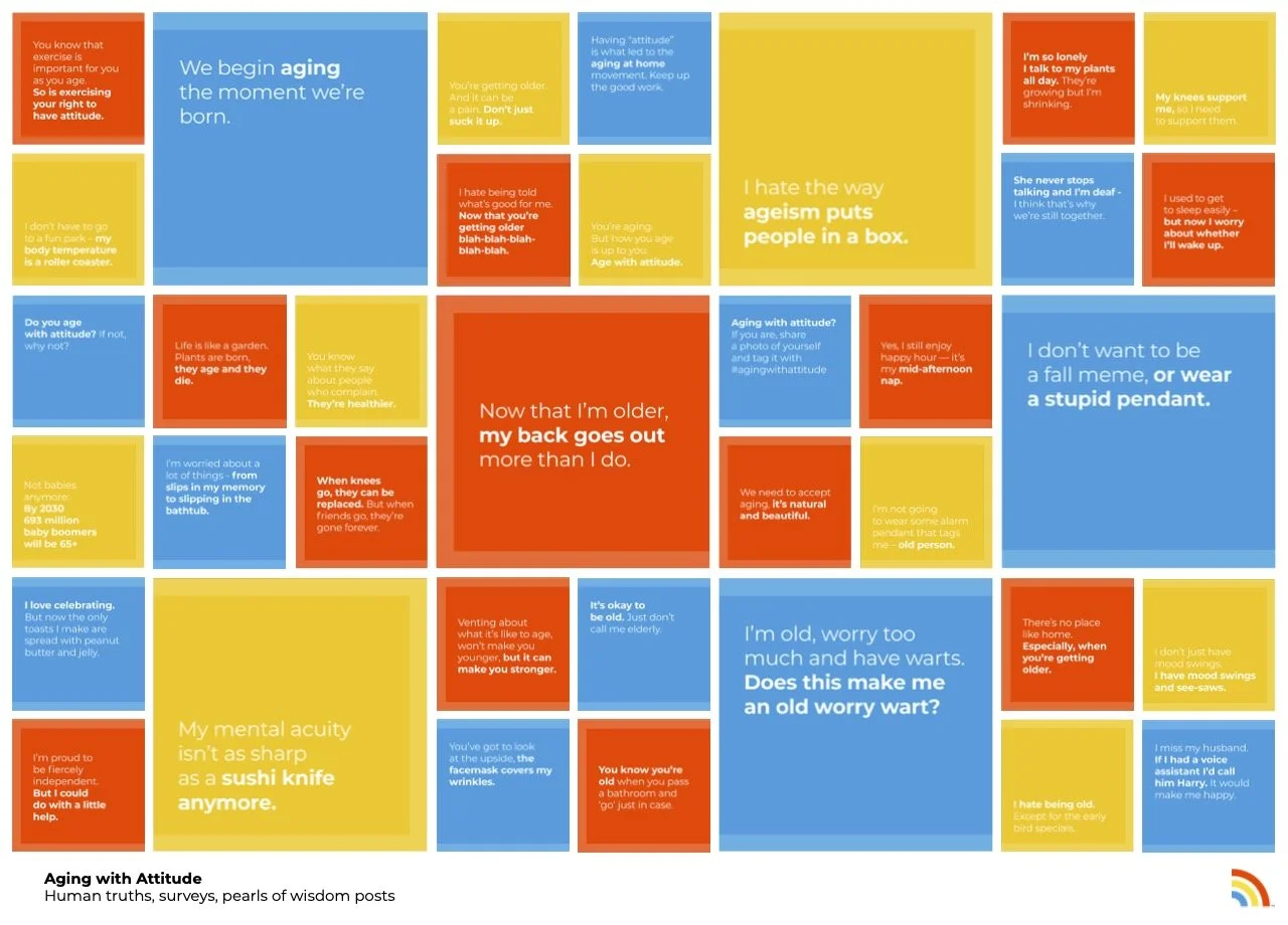 FINAL Aging with Attitude BOARDS_FOR PORTFOLIO.jpg