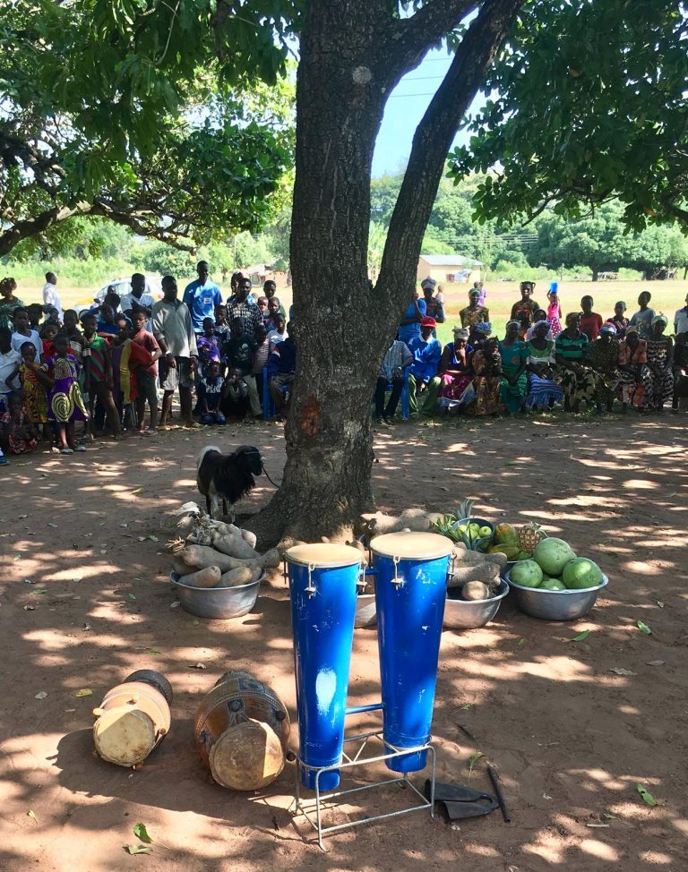 Yaara drums