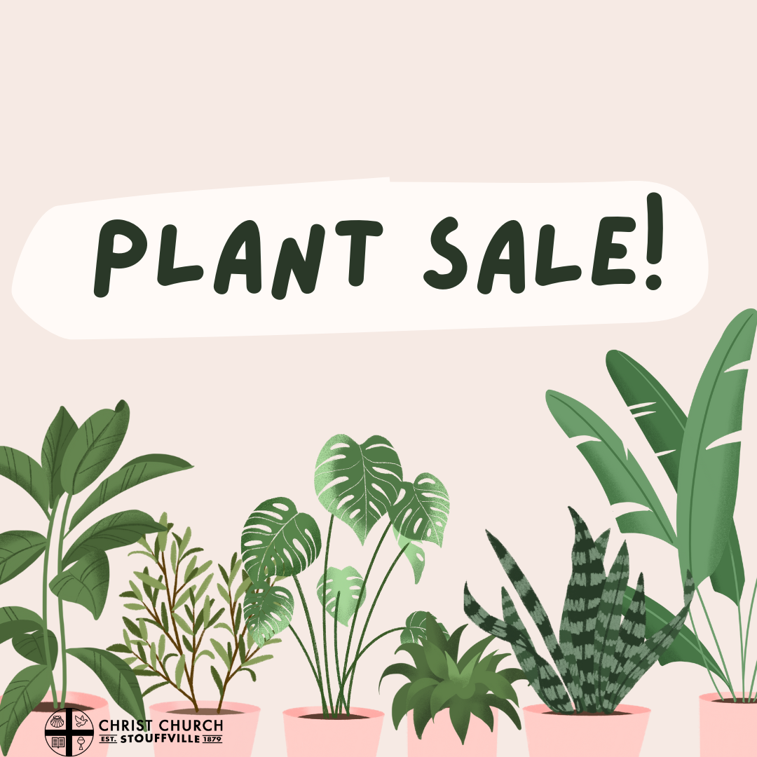 Annual Plant Sale