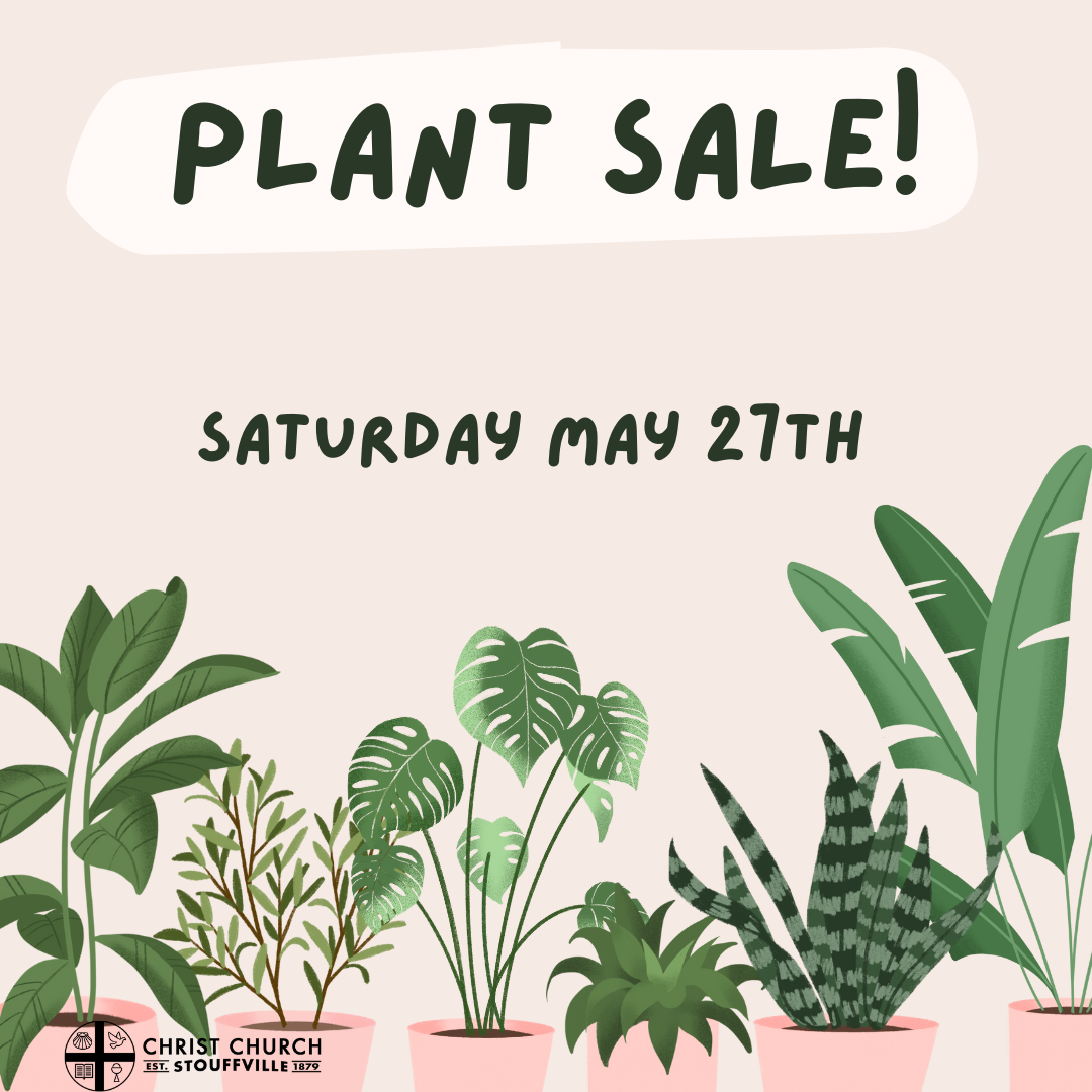 Annual Plant Sale