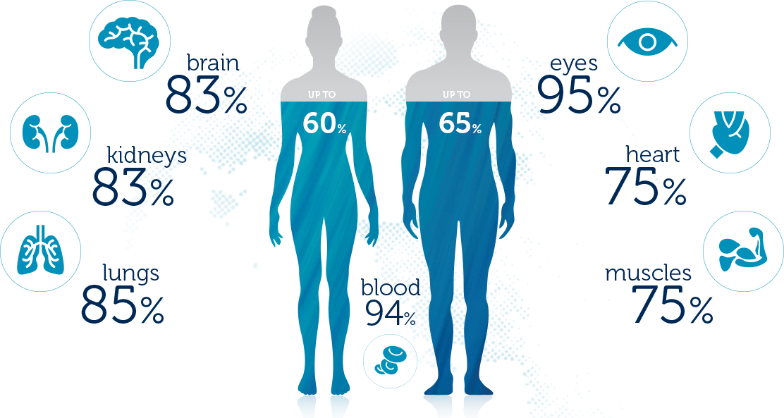 body-water-image.png