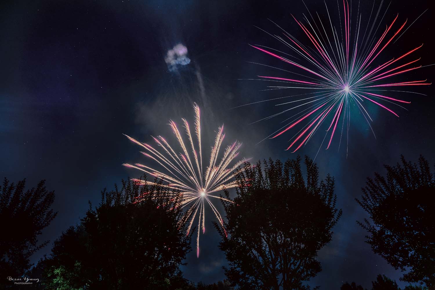 Ironstone Vineyards 4th of July Celebration  - Bessie Young Photography-7 combined trees.jpg