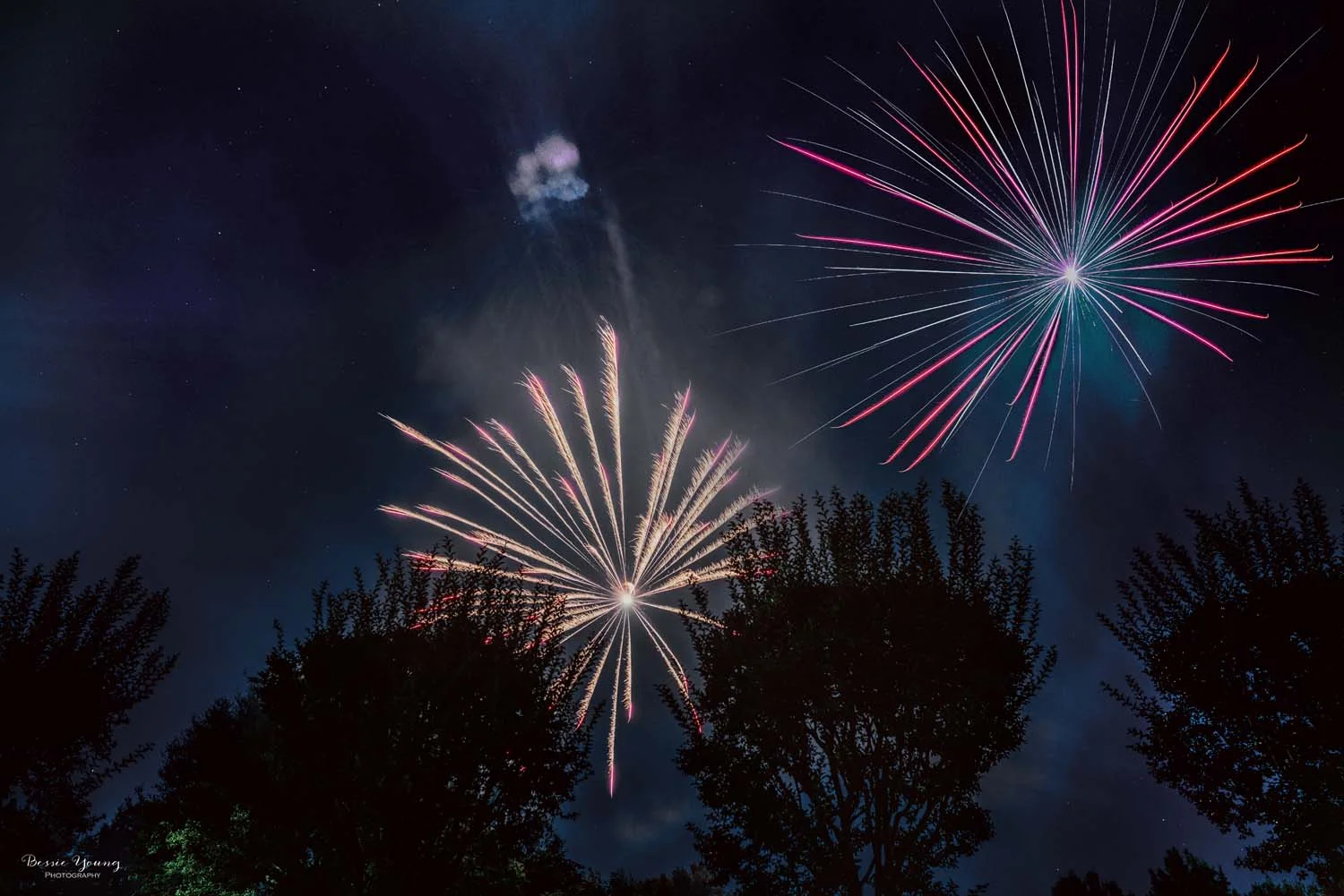 Ironstone Vineyards 4th of July Celebration - Bessie Young Photography-7 combined trees.jpg