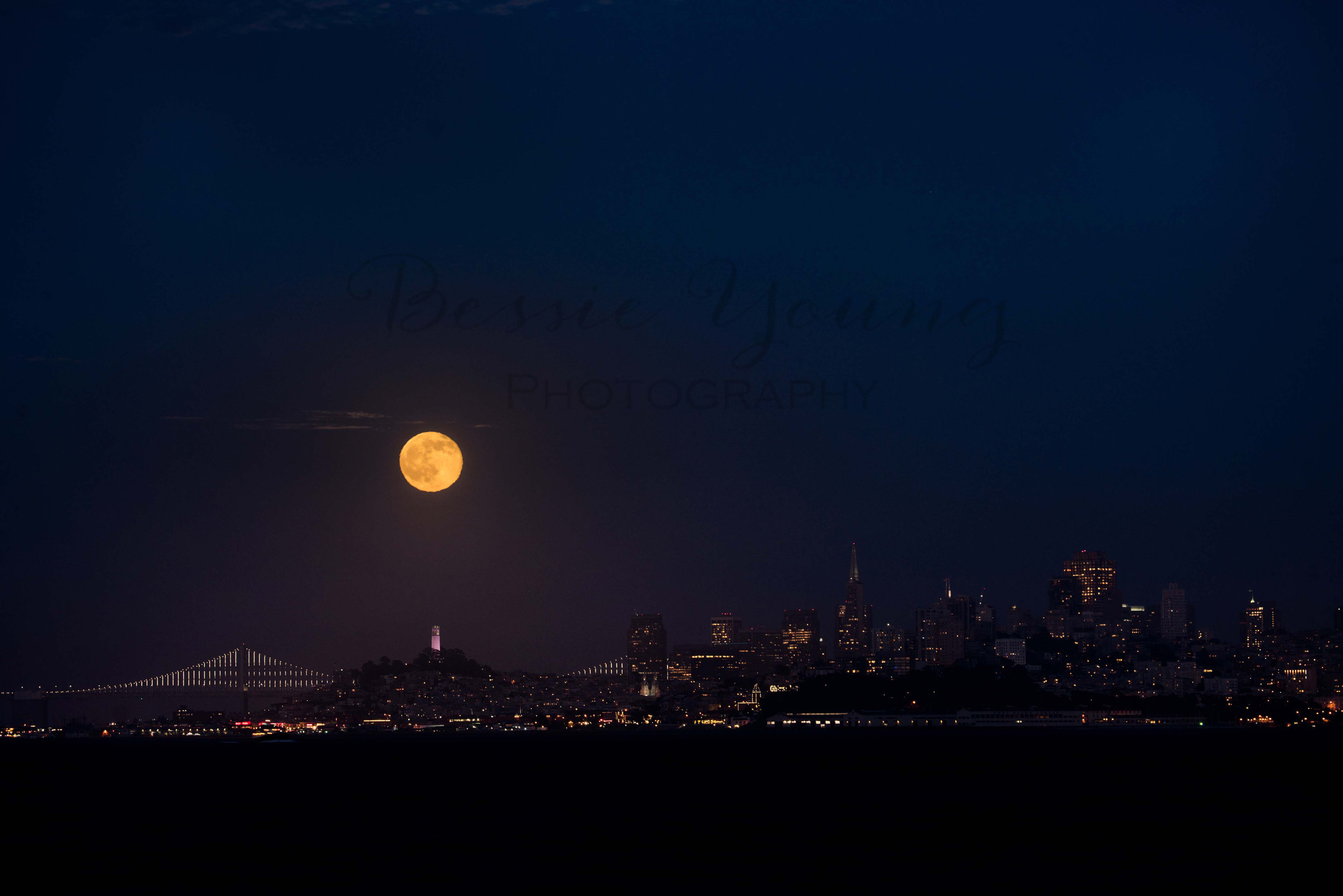 San Francisco 2016 - Bessie Young Photography-118.jpg