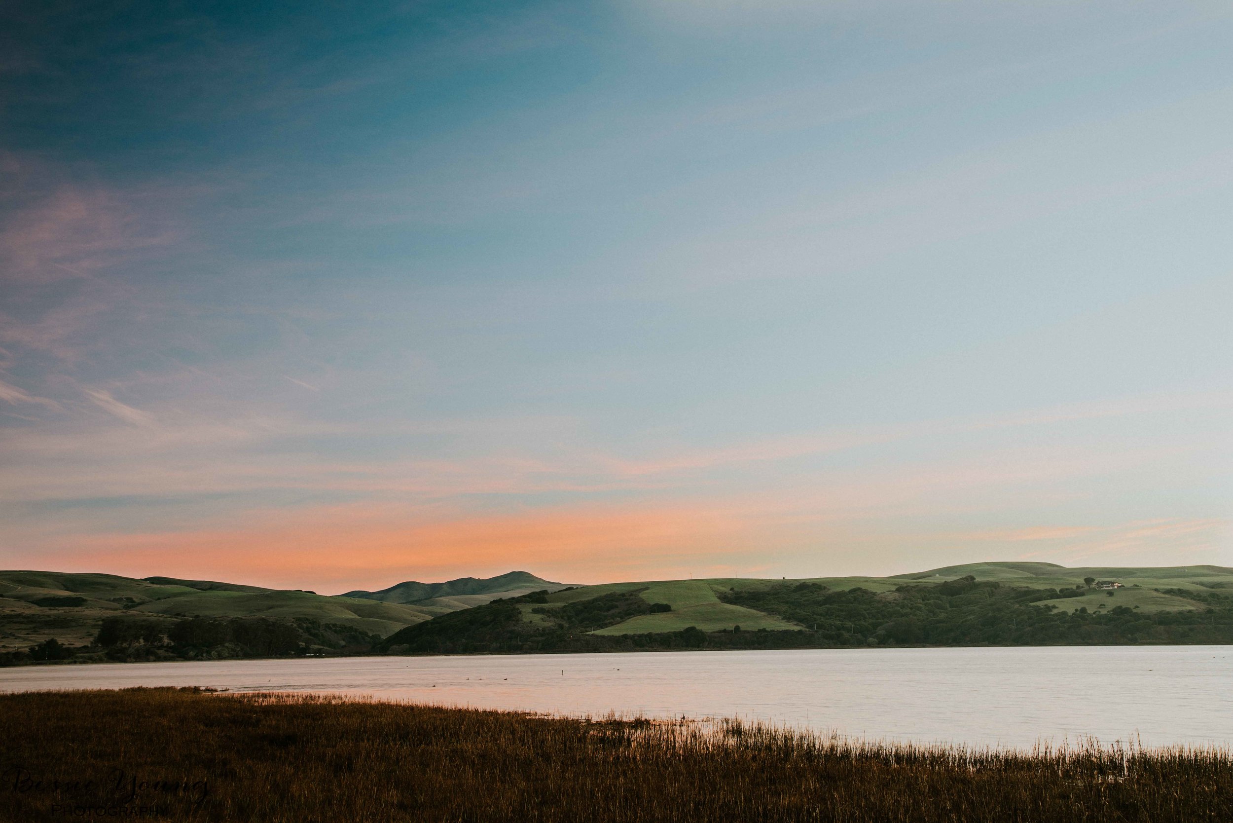 Point Reyes National Seashore 2016 - Bessie Young Photography-5.jpg