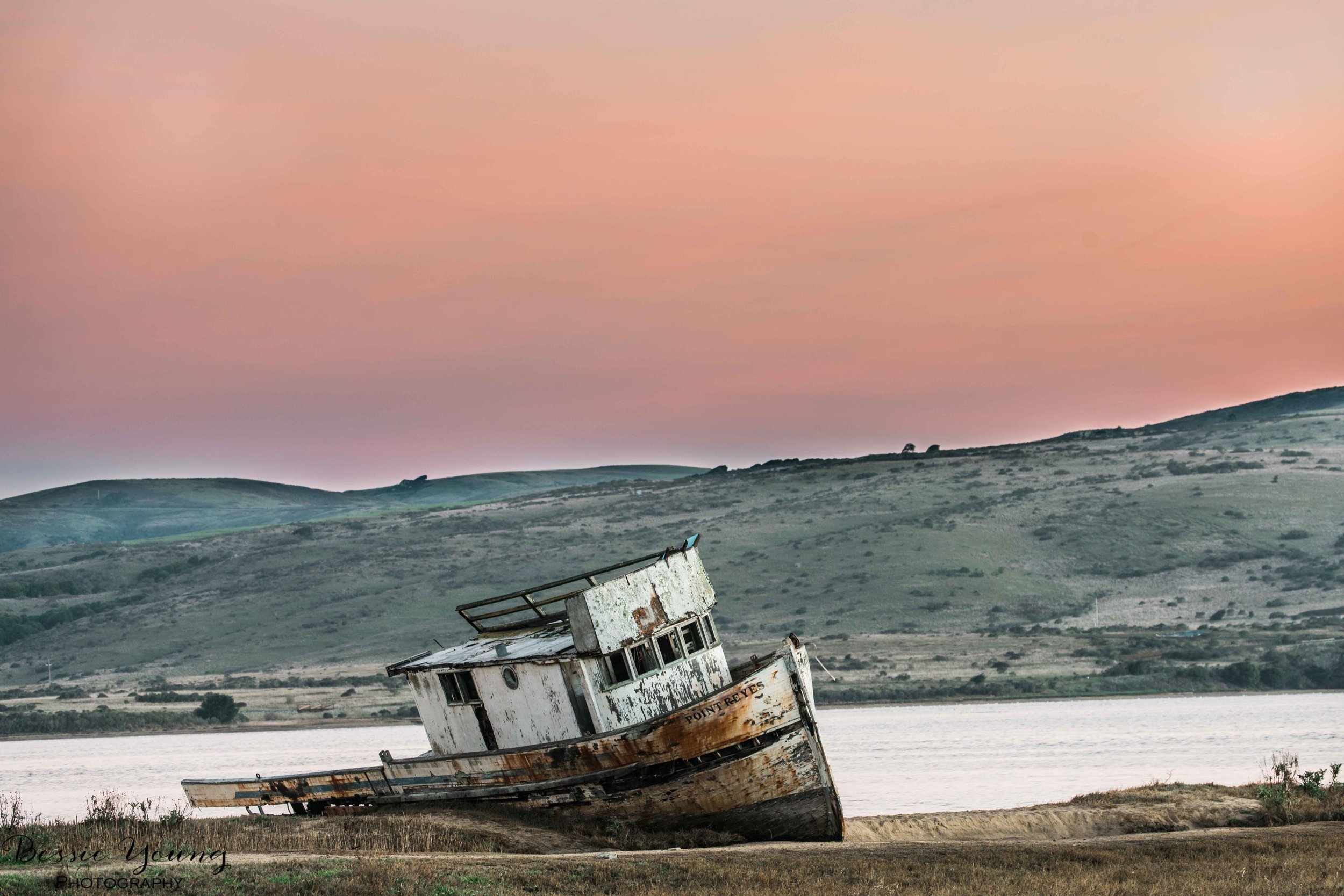 Point Reyes National Seashore 2016 - Bessie Young Photography-6.jpg