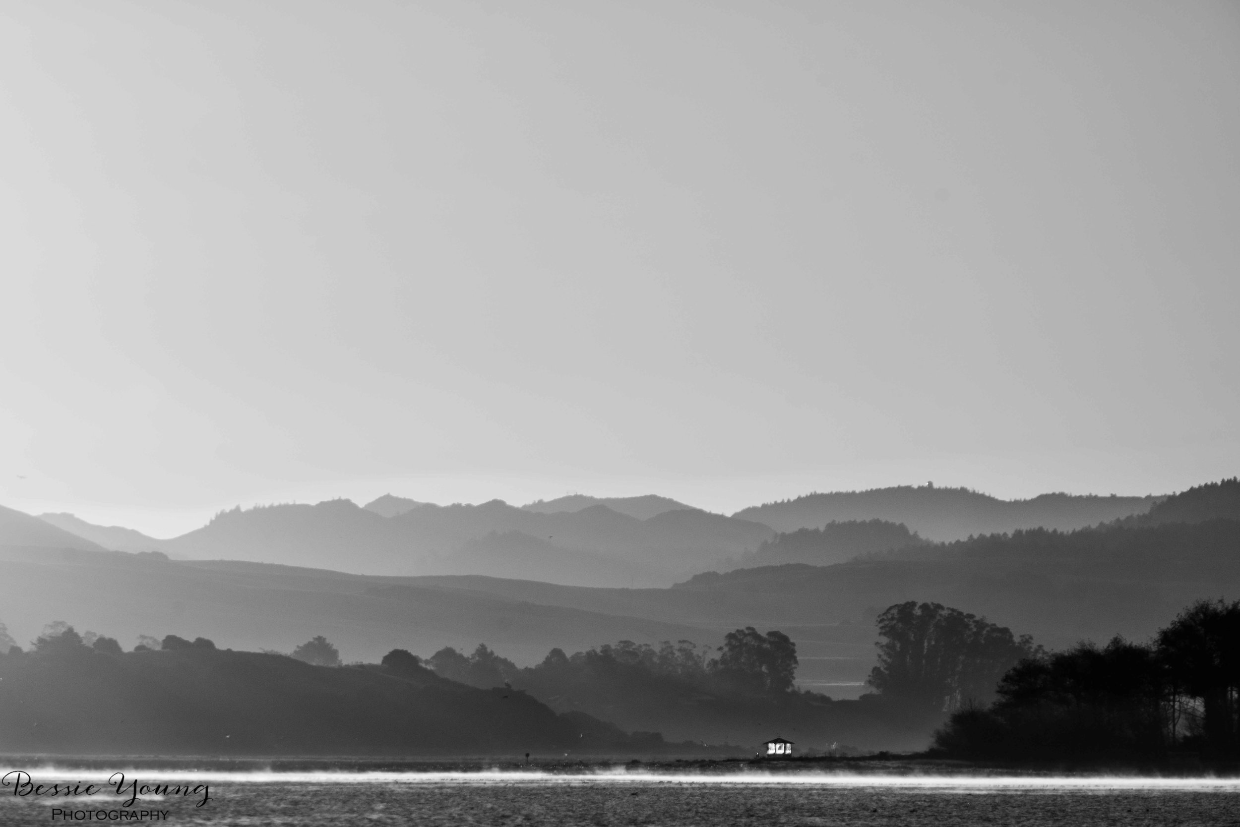 Black and White Point Reyes National Seashore by Bessie Young