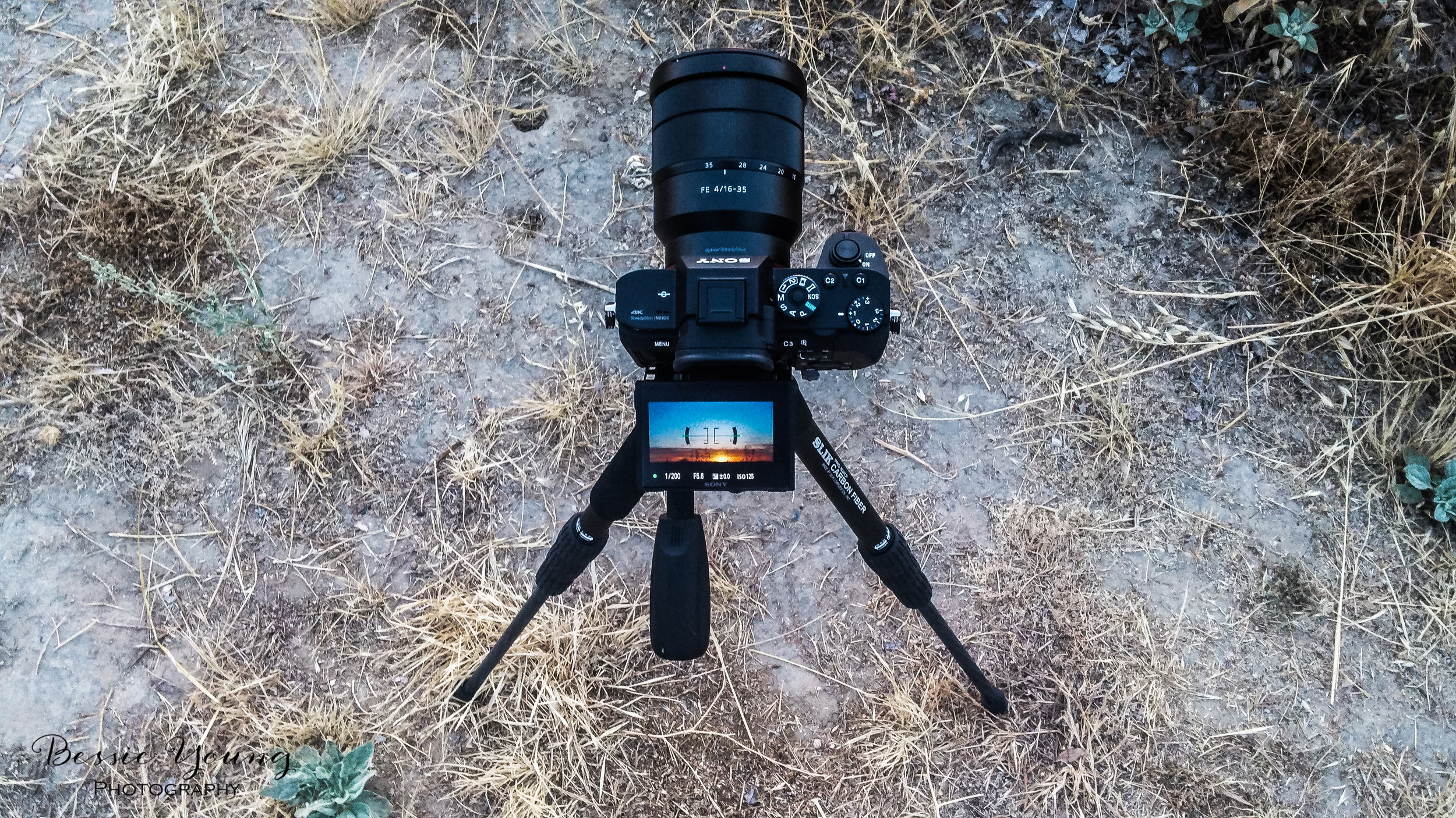 Sunset Time Lapse Sony A7Rii - Woodward Park, Fresno- Bessie Young Photography-3.jpg