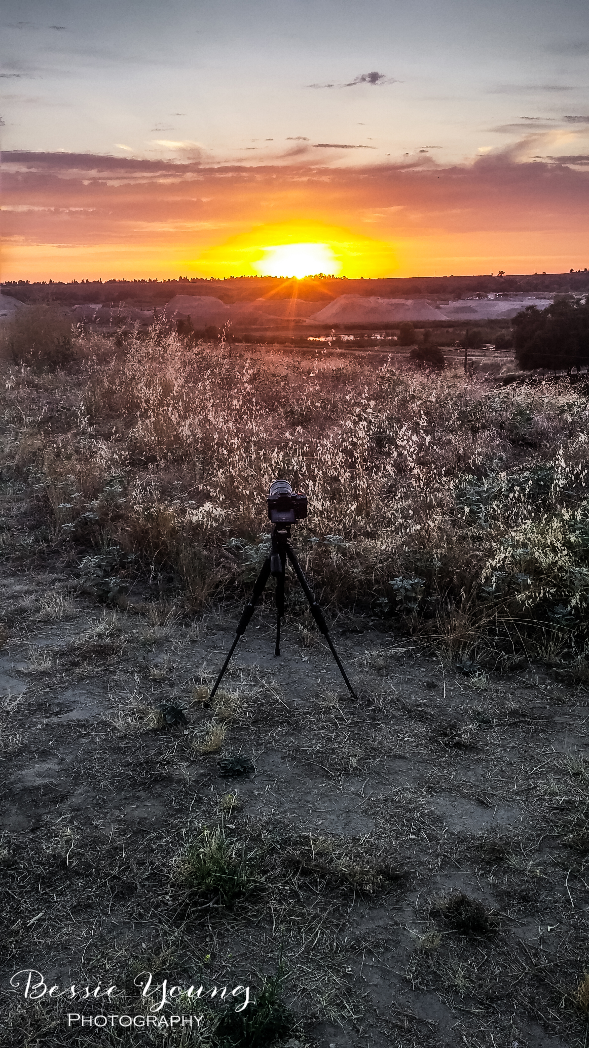 Sunset Time Lapse Sony A7Rii - Woodward Park, Fresno- Bessie Young Photography.jpg