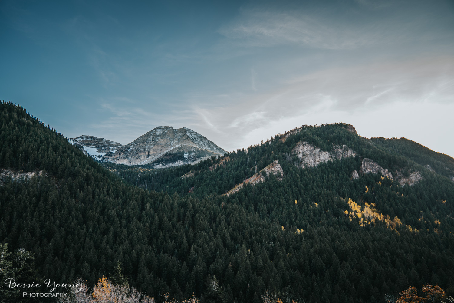 Alpine Loop Utah - Bessie Young Photography 2017-5.jpg