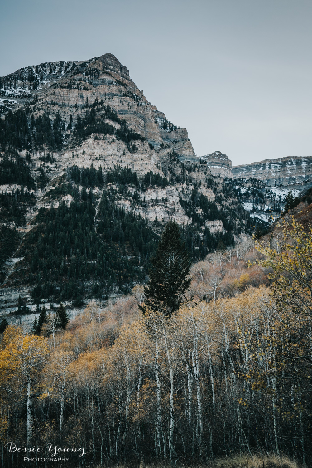 Alpine Loop Utah - Bessie Young Photography 2017-50.jpg