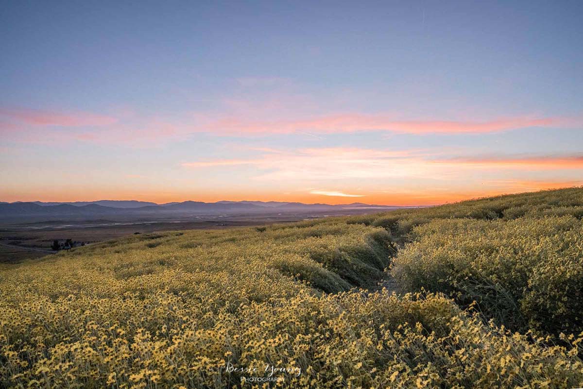 Corrizo Plain National Monument by Bessie Young Photography