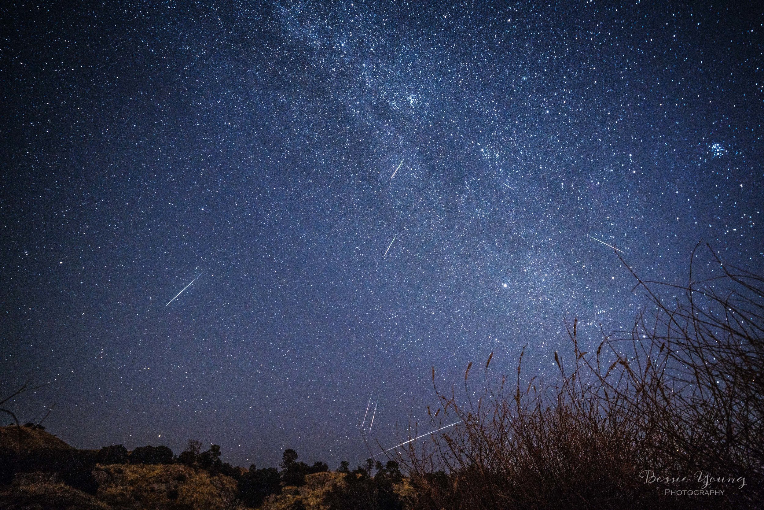 Perseid Meteor Shower by Bessie Young Photography