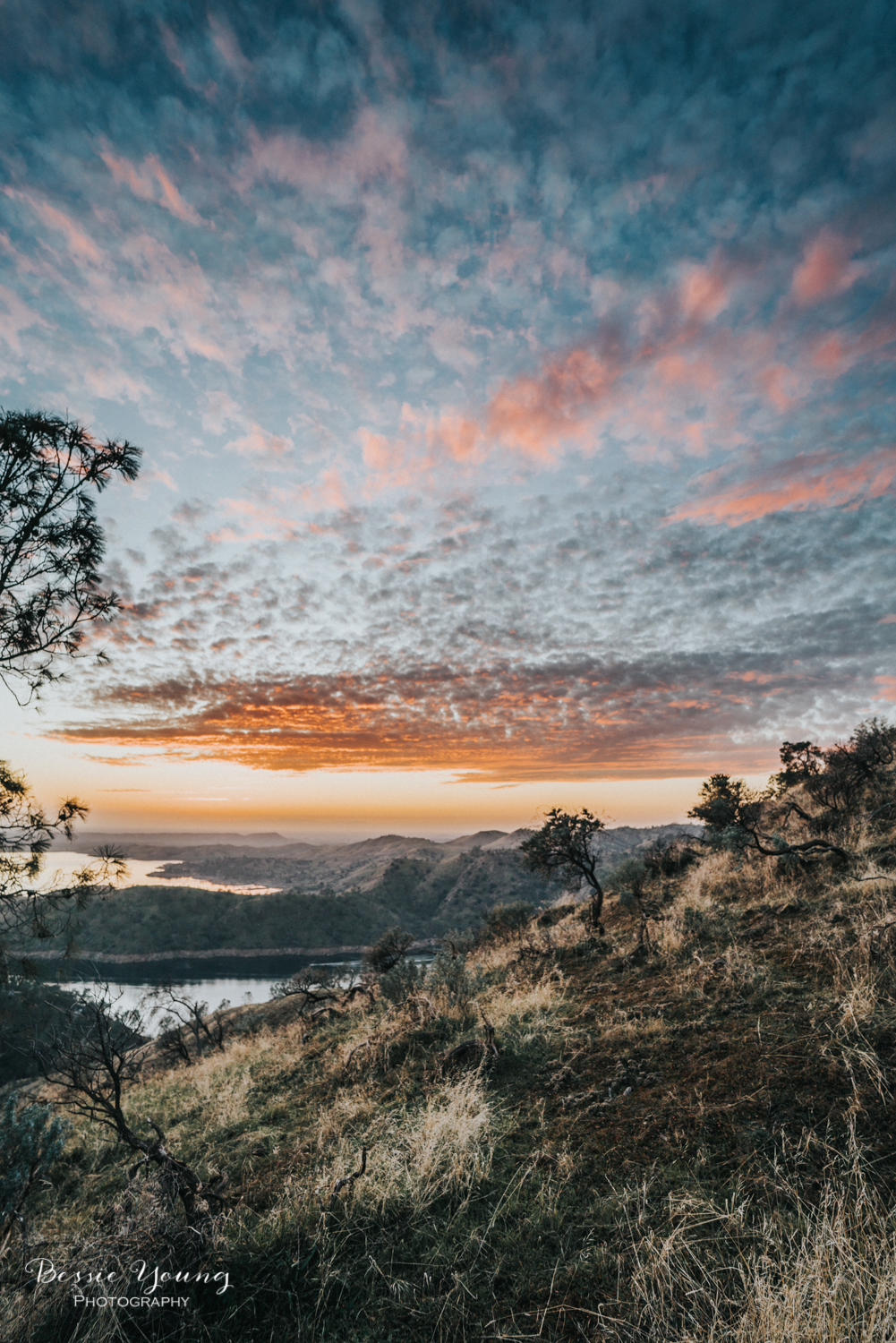 Pincushion Trail Fresno - Testing the Sony A7riii and Batis Lens - Landscape Photography - Bessie Young Photography