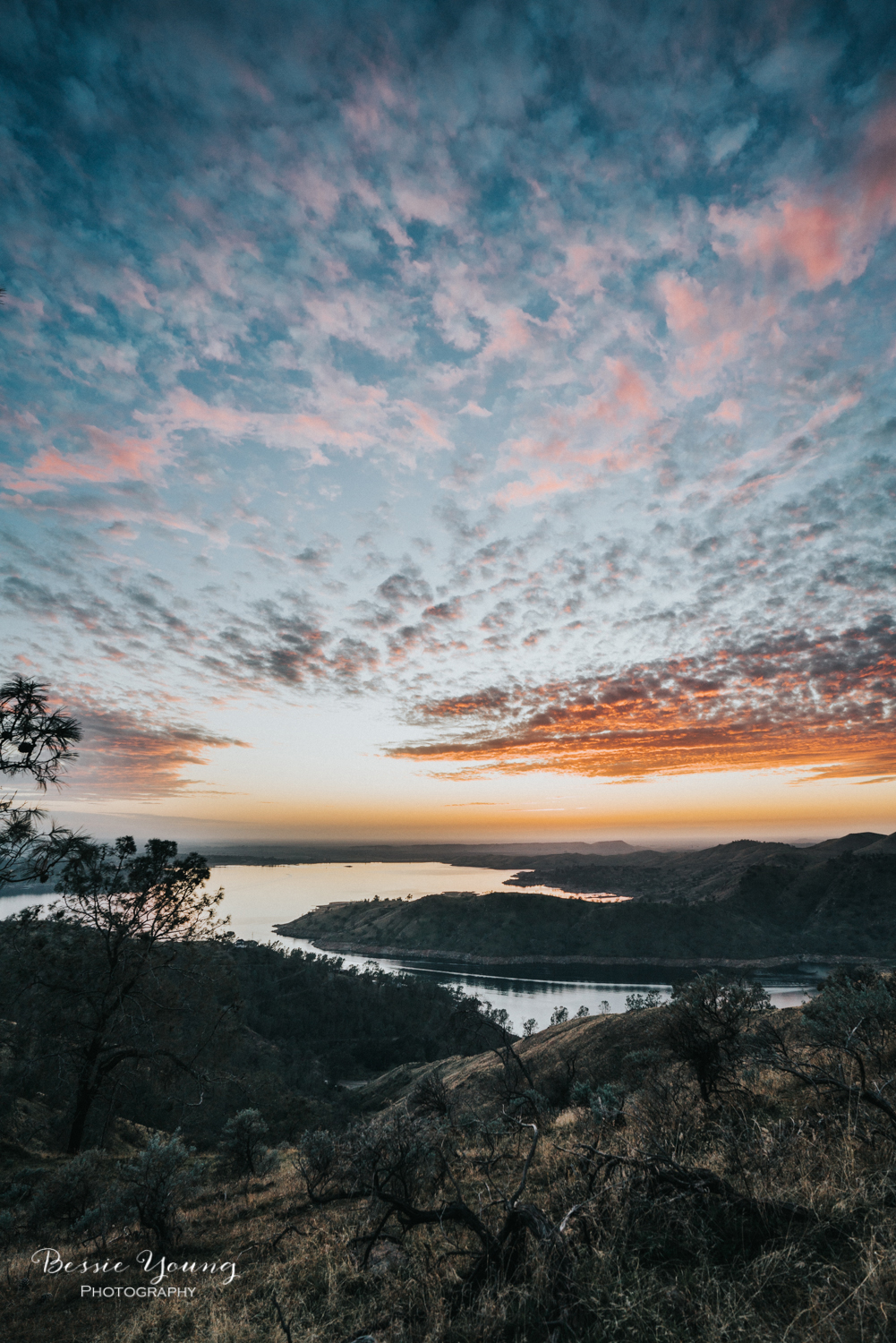 Pincushion Trail Fresno - Testing the Sony A7riii and Batis Lens - Landscape Photography - Bessie Young Photography