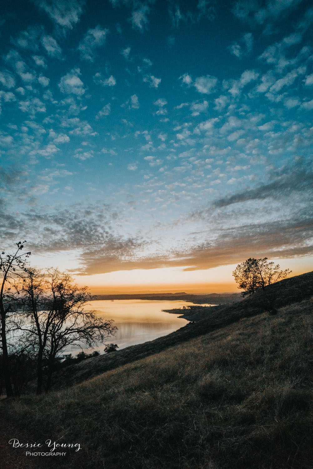 Pincushion Trail Fresno - Testing the Sony A7riii and Batis Lens - Landscape Photography - Bessie Young Photography