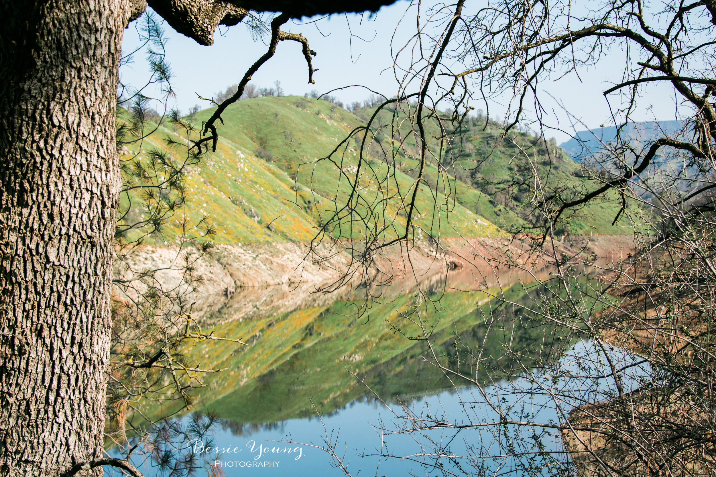 San Joaquin River Trail - California Hiking Trail by Bessie Young Photography
