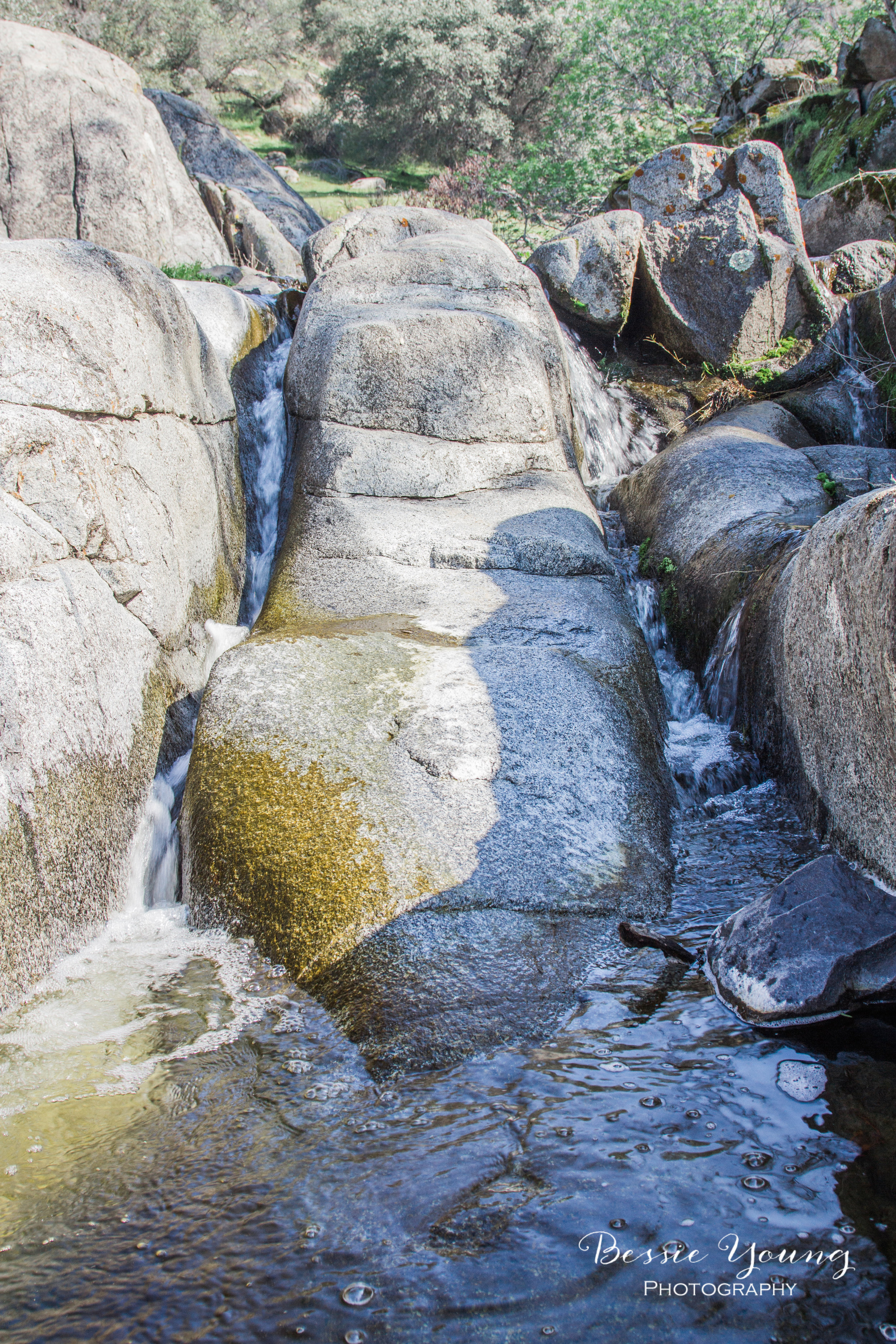 San Joaquin River Trail Fresno County February16-  Bessie Young Photography16-19.jpg