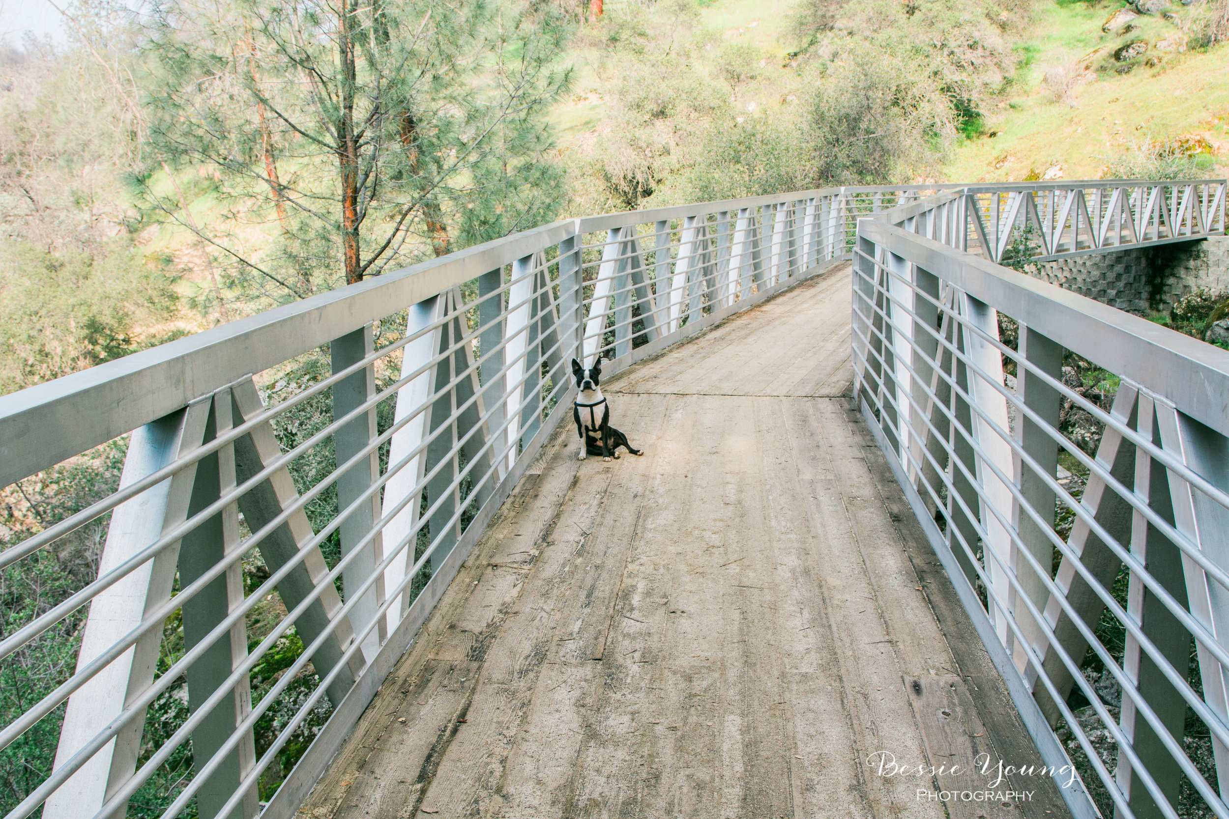 San Joaquin River Trail - California Hiking Trail - Fresno by Bessie Young Photography