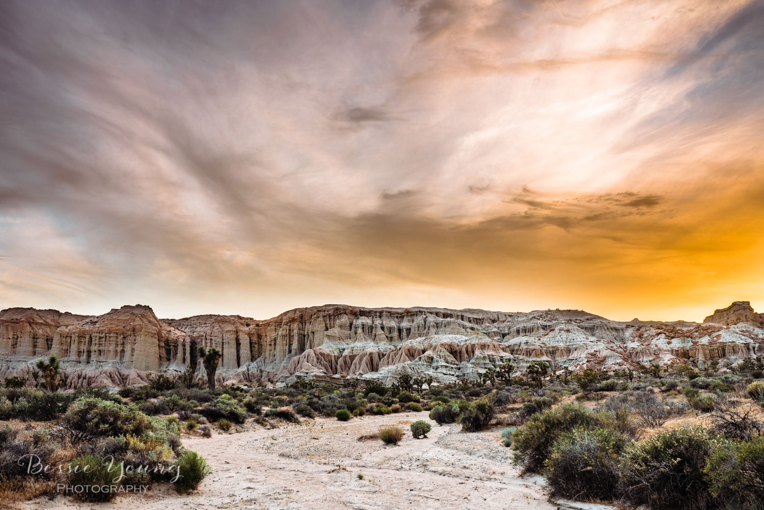 Red Rock Canyon Mojave Desert- Bessie Young Photography 2018-18.jpg