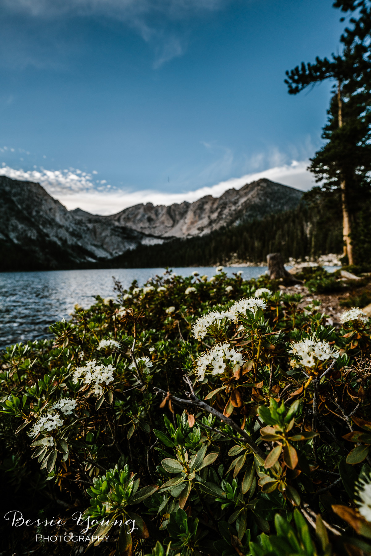 Backpacking Devils Bathtub Graveyard Trailhead - Landscape Photography by Bessie Young Photography - California Hiking Trail