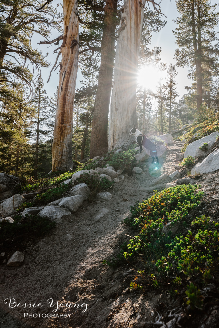 Backpacking Cliff Lake - Dinkey Lakes Wilderness - Landscape Photography by Bessie Young - California Hiking Trails 