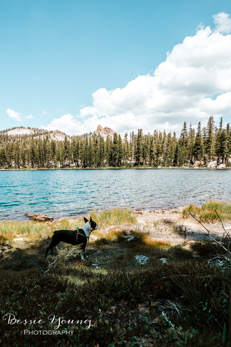 Backpacking Dinkey - Cliff Lake - 2018 - Bessie Young Photography-47.jpg