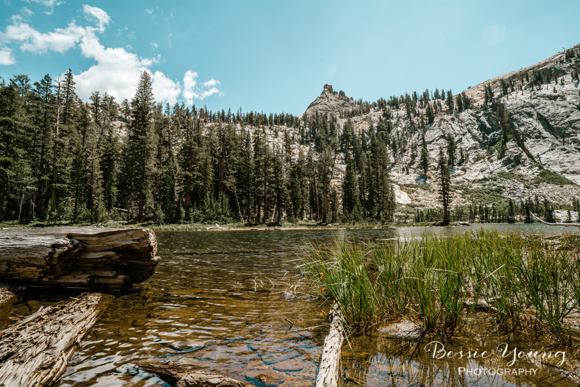 ND Filter vs No filter Landscape Photography Tips and tricks by Bessie Young wm.jpg