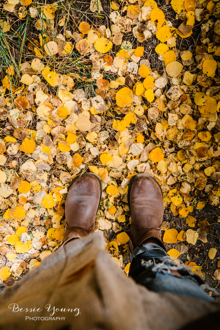 Aspen Leaves by Bessie Young Photography - June Lake California.jpg