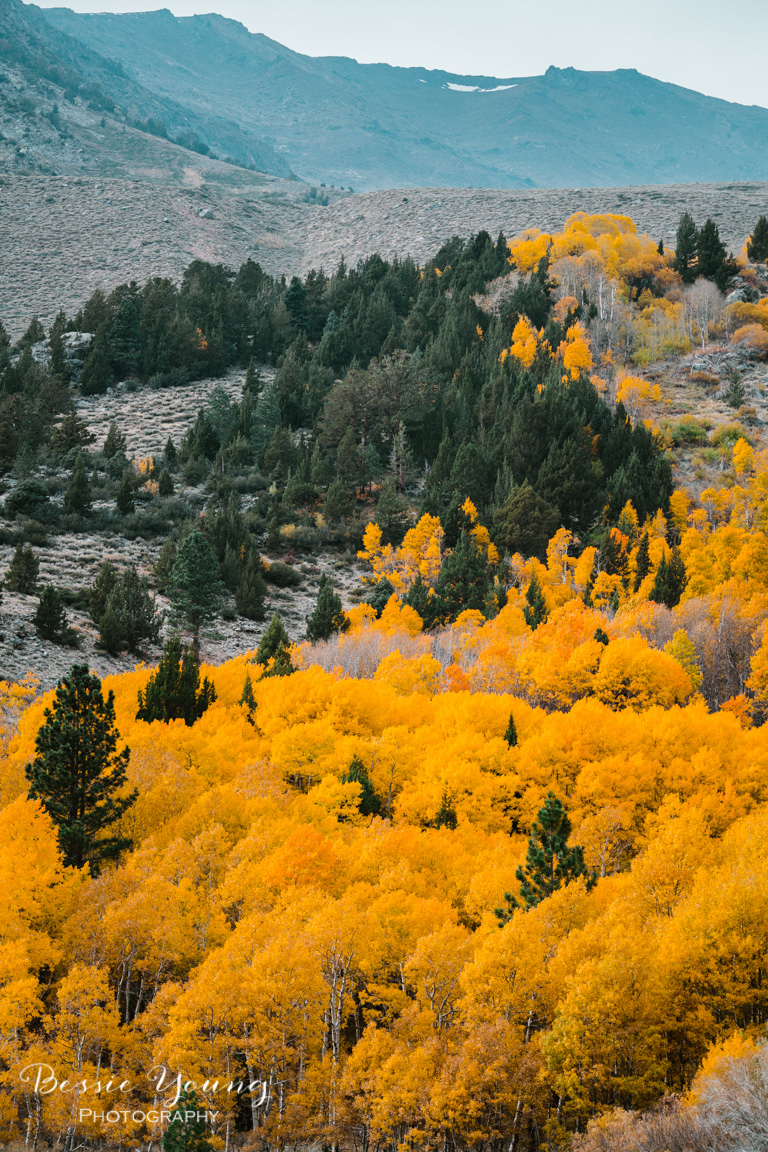 Fall Landscape Photography June Lake California by Bessie Young 9.jpg