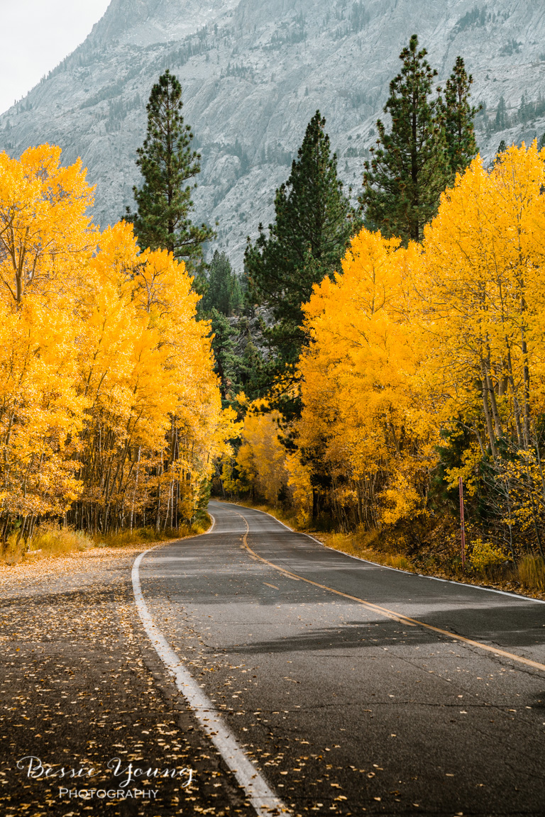 Fall Landscape Photography June Lake California by Bessie Young 13.jpg