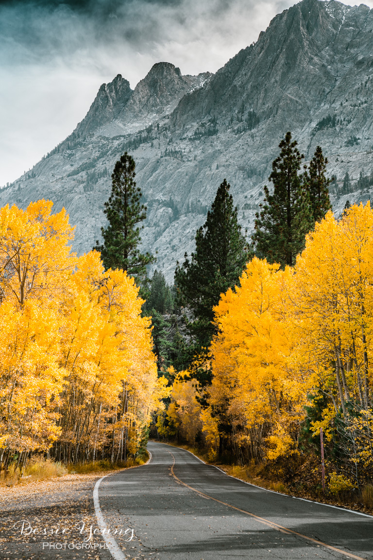 Fall Landscape Photography June Lake California by Bessie Young 12.jpg