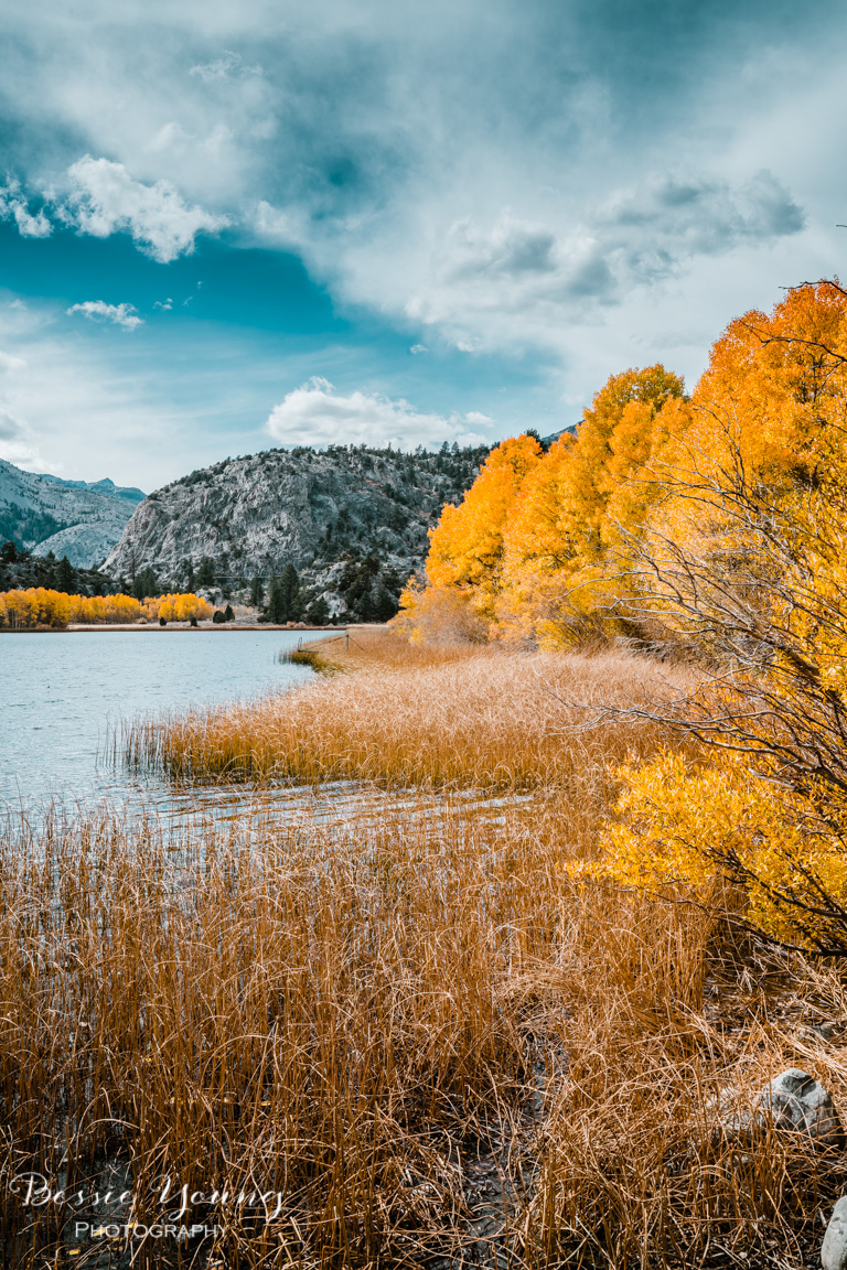 Fall Landscape Photography June Lake California by Bessie Young 16.jpg