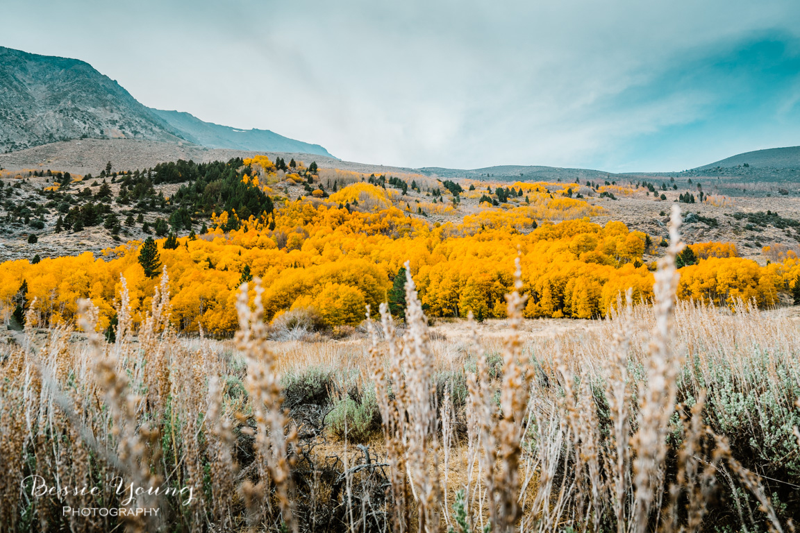 Fall Landscape Photography June Lake California by Bessie Young 3.jpg