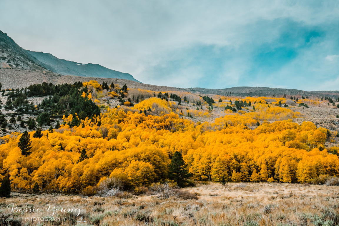 Fall Landscape Photography June Lake California by Bessie Young 5.jpg
