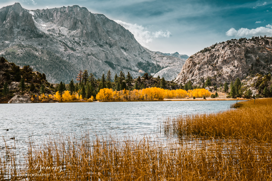 Fall Landscape Photography June Lake California by Bessie Young 15.jpg