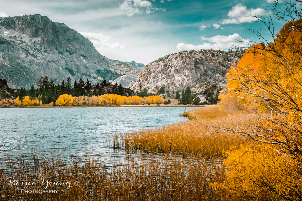 Fall Landscape Photography June Lake California by Bessie Young 7.jpg