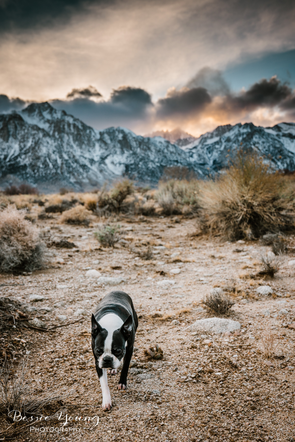 Alabama Hills California Sunset - Fine Art Photography by Bessie Young Photography