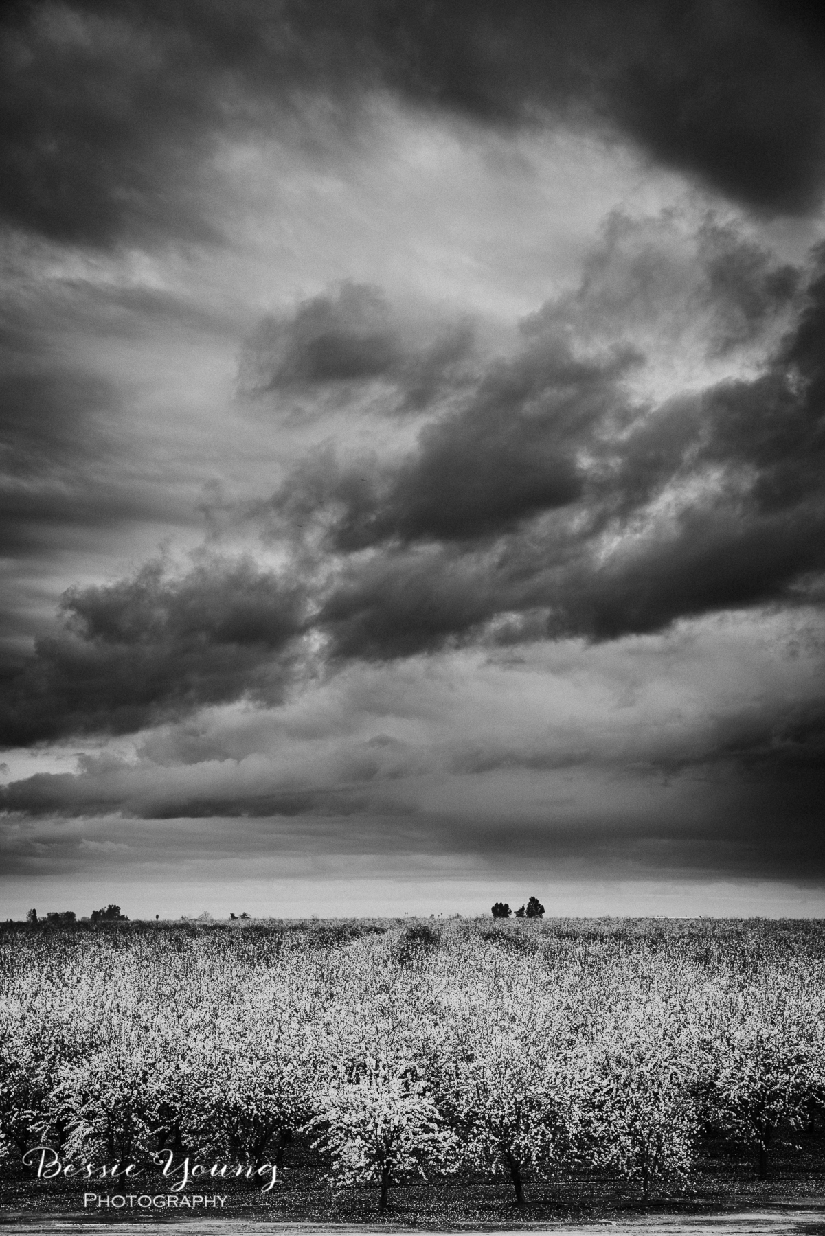 Failure - Landscape Photography by Bessie Young Photography-5.jpg