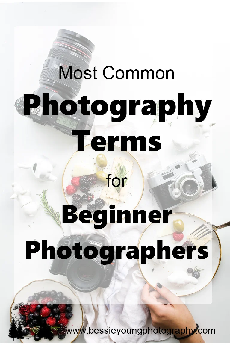 Most Common Photography Terms for Beginner Photographers by Bessie Young Photography - Photography tips and tricks - Learn Photography.jpg