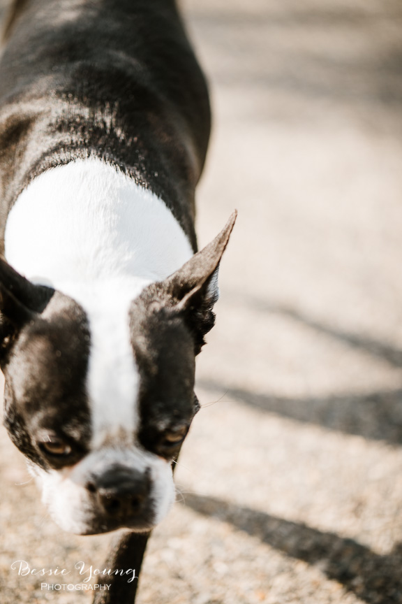 Batis 85mm vs Sony 85mm G Master Lens Comparison - Bessie Young Photography 2019-67.jpg