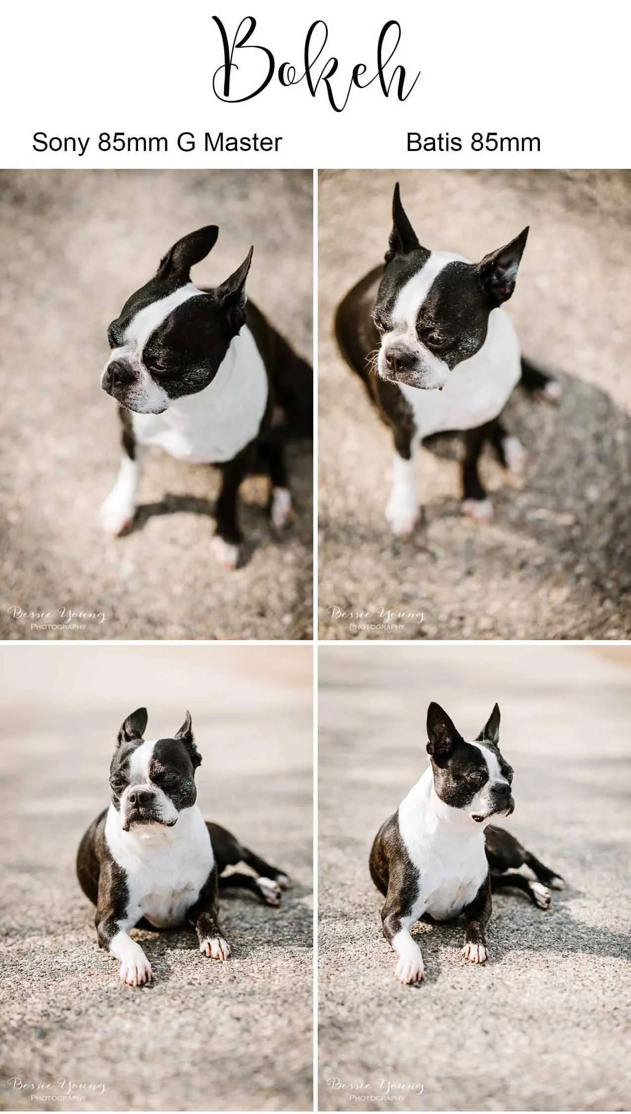 Batis 85mm vs Sony 85mm G master lens comparison by Bessie Young Photography Bokeh Comparison.jpg
