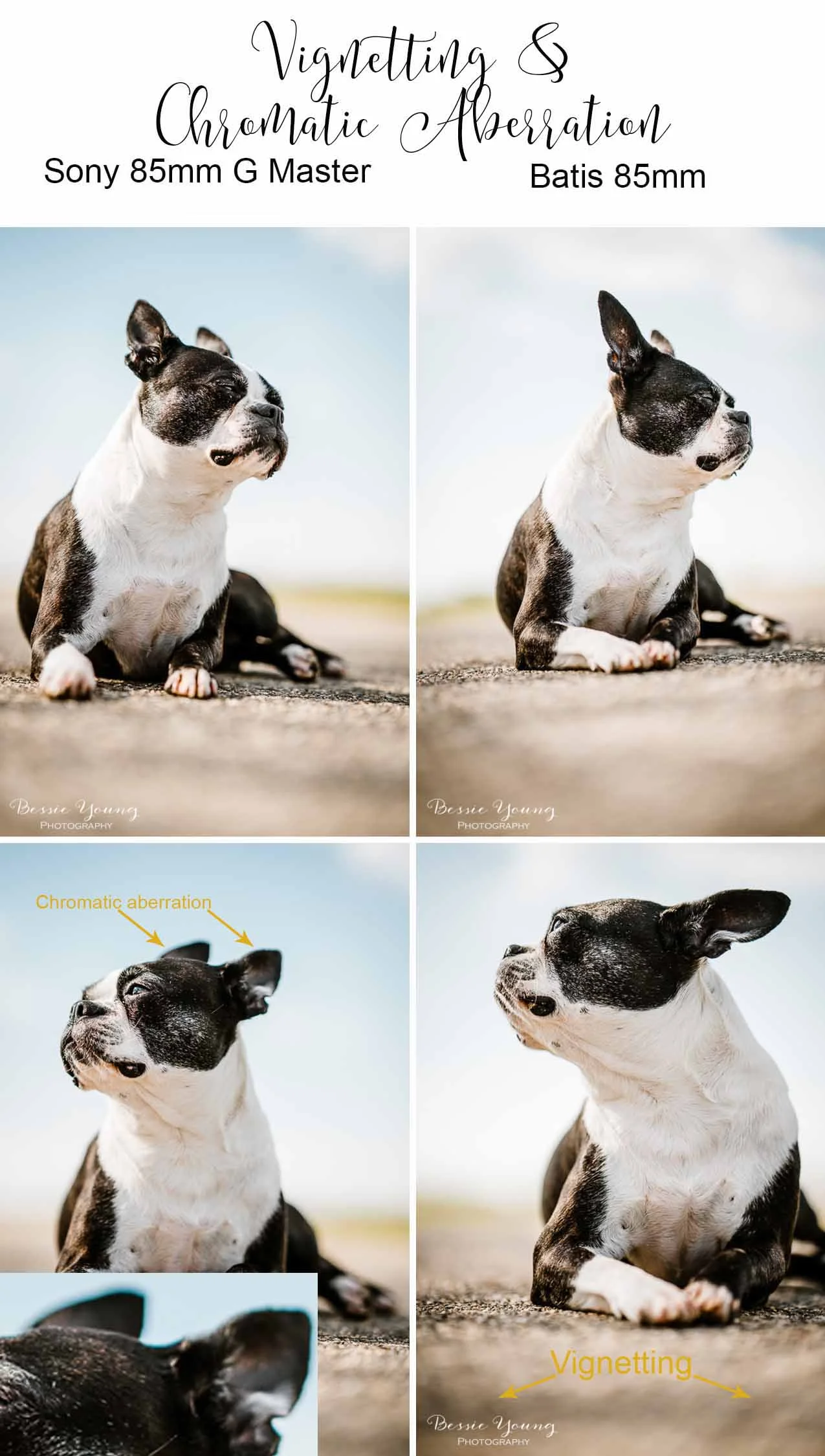 Batis 85mm vs Sony 85mm G master lens comparison by Bessie Young Photography Vignetting Comparison.jpg
