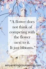 COMPARISON BLOG FLOWERS BLOOM PIC 2.jpg