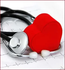 circulatory.jpg